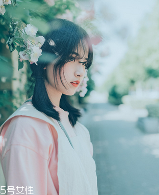 鹿胎膏會(huì)發(fā)胖嗎？鹿胎膏無(wú)致胖風(fēng)險(xiǎn)