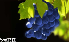 葡萄籽補(bǔ)劑要不要買？不如早睡早起