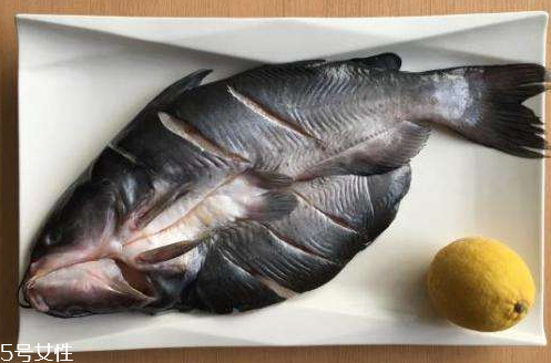 清江魚(yú)是什么魚(yú) 清江庫(kù)區(qū)長(zhǎng)大的魚(yú)