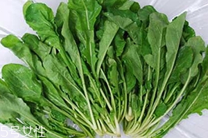 薺菜包餃子需要焯水嗎？小心有苦澀的味道