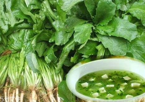 薺菜包餃子需要焯水嗎？小心有苦澀的味道