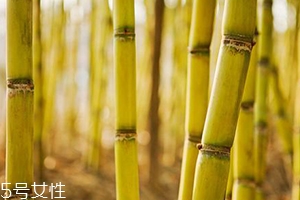 吃甘蔗臉會變大嗎？原來還有這么一說