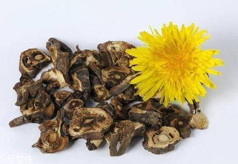 蒲公英茶超市有賣的嗎？去藥房看看