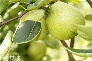 梨子煮熟吃有什么好處？熟梨的常見吃法