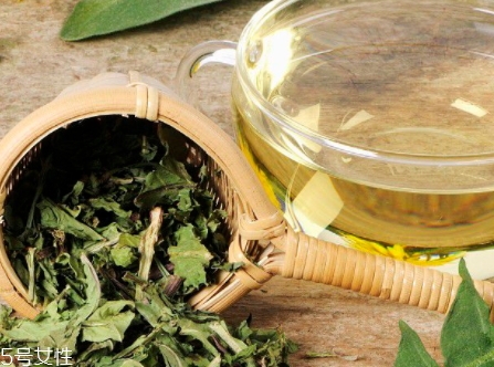 蒲公英茶能減肥嗎？要這樣搭配