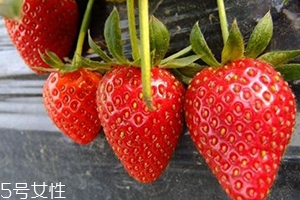 寶寶咳嗽可以吃草莓嗎？看是什么類(lèi)型的咳嗽