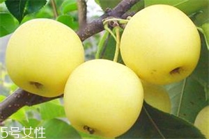 哺乳期吃梨有什么好處？梨子能做面膜