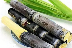 冬季吃甘蔗有什么好處？它被稱為冬季人參