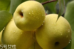 晚上吃梨子會胖嗎？梨不能和開水一起吃