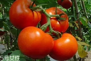 空腹不能吃什么？這4種最好不要吃