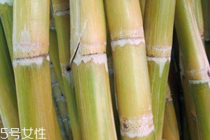 甘蔗吃多了對牙齒好嗎？有可能損傷牙齒