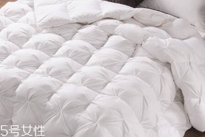 羽絨被可以曬嗎？羽絨被知識大全