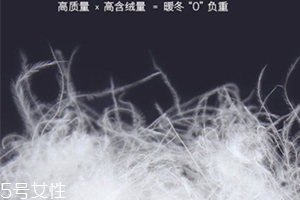lets diet羽絨褲多少錢？lets diet羽絨褲保暖又修身