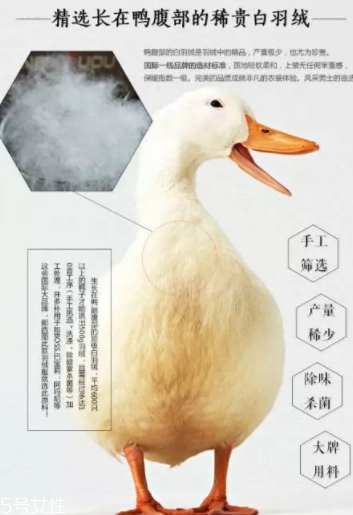 lets diet羽絨褲多少錢？lets diet羽絨褲保暖又修身