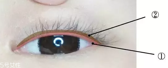 內(nèi)眼線一定要畫嗎？畫好睫毛根部
