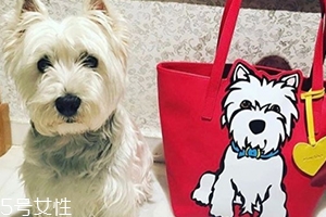 marc tetro是什么牌子？美國高性價比包包品牌