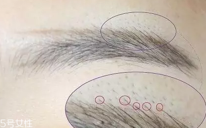 自然不做作的毛流眉怎么畫？紋理清晰有弧度