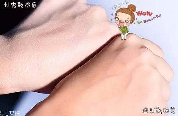 紀梵希散粉和悅詩風吟散粉哪個好？