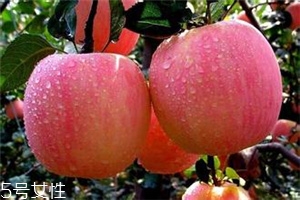 空腹吃蘋果好不好？一天最多吃幾個蘋果？
