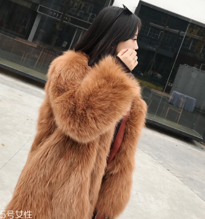 皮草和貂哪個貴？它們的價值你清楚嗎