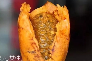 牛卵坨籽可以吃嗎？看看它的神奇功效