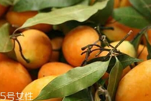 枇杷芒多少錢一斤？品質(zhì)越好價格越貴