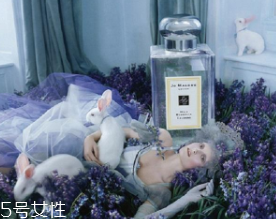 女士香水什么牌子好？6款入門級香水推薦