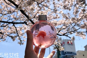 奈良金箔櫻花酒多少錢(qián)？奈良櫻花酒好喝嗎