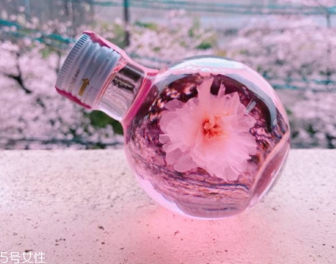 奈良金箔櫻花酒多少錢？奈良櫻花酒好喝嗎