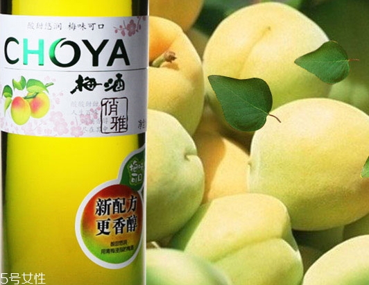 choya梅酒多少錢？多少度？