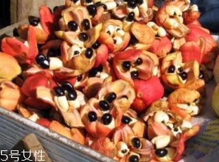 阿基果是什么水果？阿基果功效作用