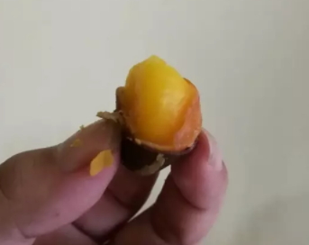 鳳眼果多少錢一斤？觀賞和口感兼具的鳳眼果