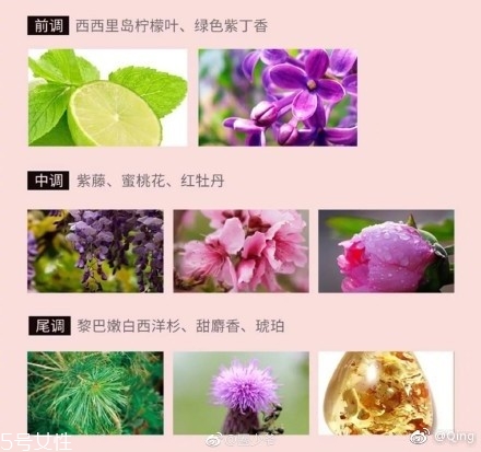 瀘州老窖香水多少錢？你身上有他的白酒味