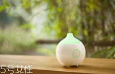 香薰什么味道好聞？佛系女孩推薦草木香