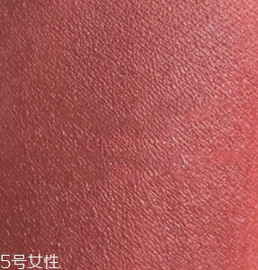 雅詩(shī)蘭黛口紅333和360試色對(duì)比