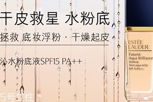 雅詩蘭黛粉底液和氣墊哪個好？