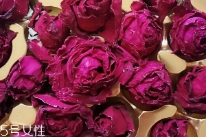 墨紅玫瑰可以天天喝嗎？玫瑰養(yǎng)顏也要適量