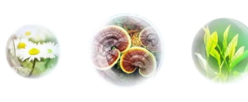 香蒲麗防曬霜怎么樣？從防曬值和成分說(shuō)開(kāi)去
