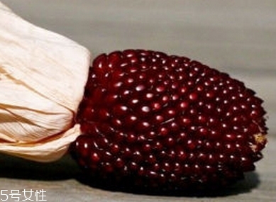 草莓玉米多少錢一斤？酷似草莓的玉米