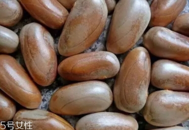 榴蓮蜜怎么吃？不同的吃法風(fēng)格