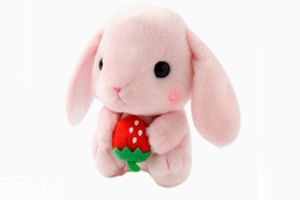 AMUSE玩偶是哪個國家的牌子？東京御宅族文化商品