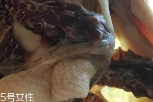 板鴨怎么做好吃？這樣做香氣撲鼻