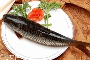 魚(yú)肚里的黑膜是什么 黑色只是色素沉積