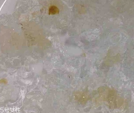 雪燕和桃膠能一起燉嗎？