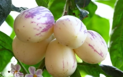 香瓜茄孕婦可以吃嗎？香瓜茄功效多