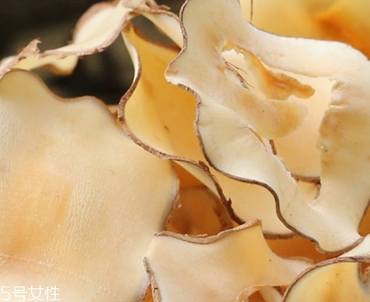 海底椰怎么吃？海底椰的做法