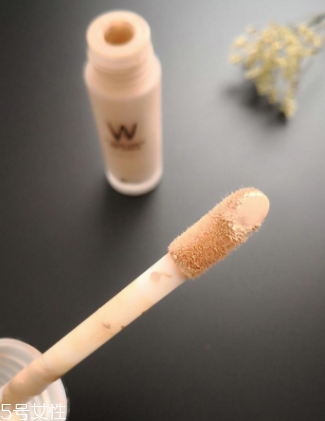 wlab粉底液好用嗎？全方位實測wlab粉底液效果
