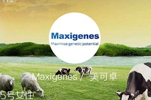 藍胖子奶粉適合什么人？成人可以喝嗎？