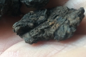 老茶頭怎么泡？泡錯了就不好喝了