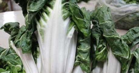 牛皮菜是發(fā)物嗎？牛皮菜有毒嗎